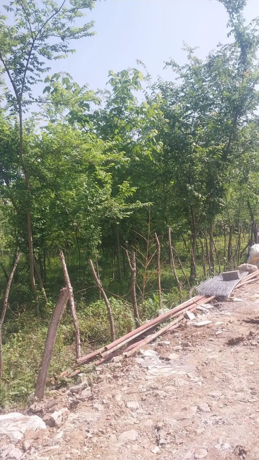 تصویر املاک 119914