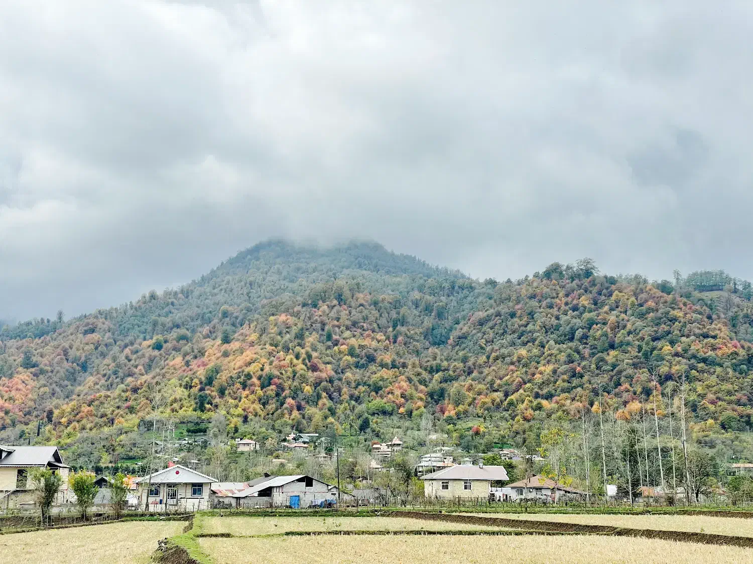 تصویر املاک 51404