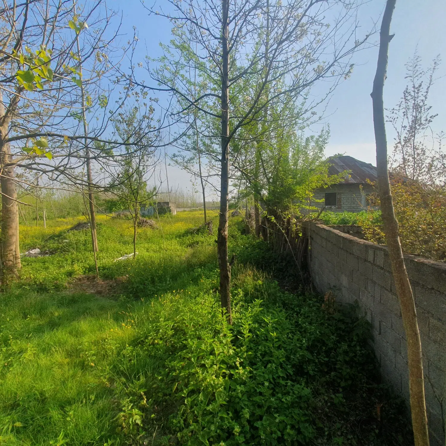 تصویر املاک 87139