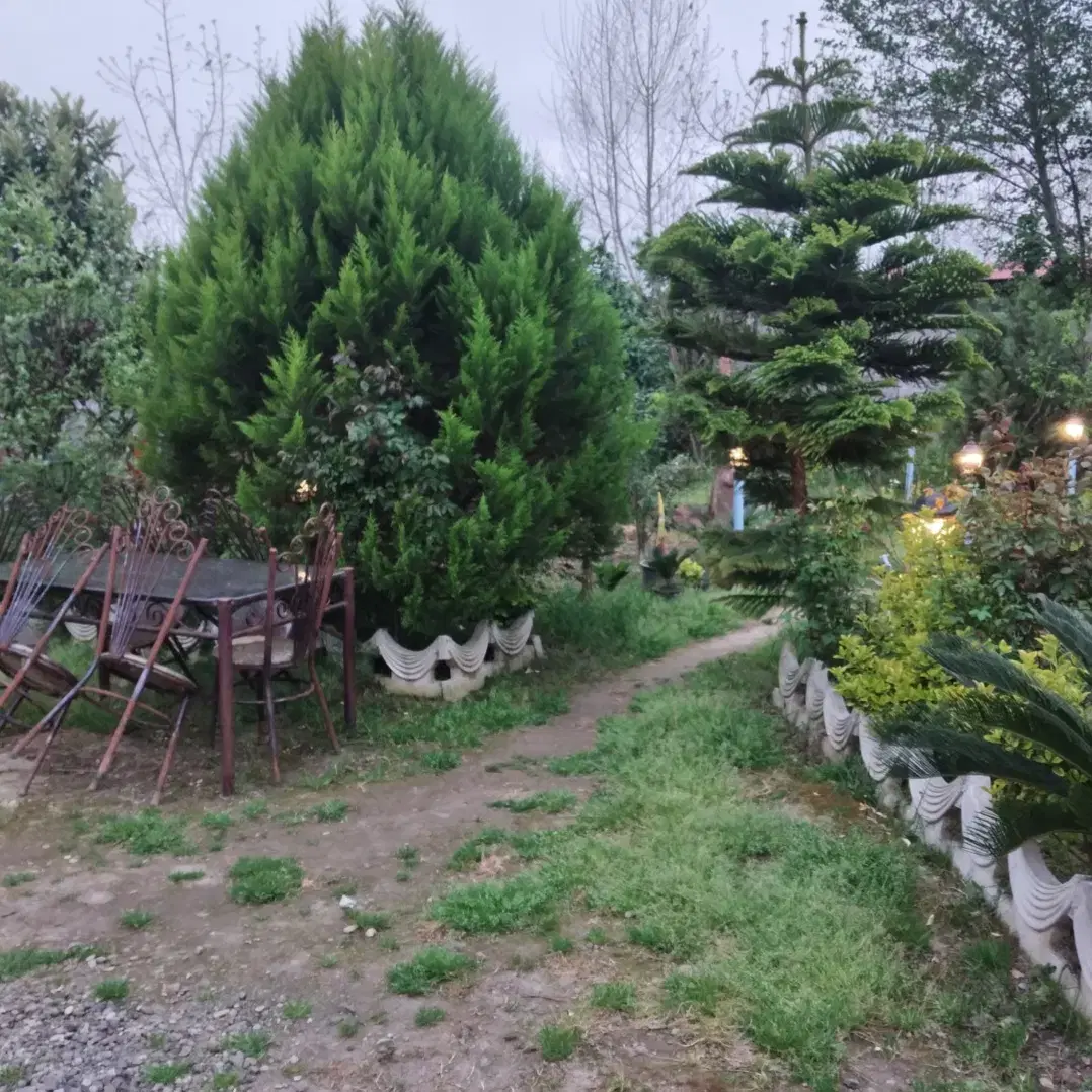 تصویر املاک 60384