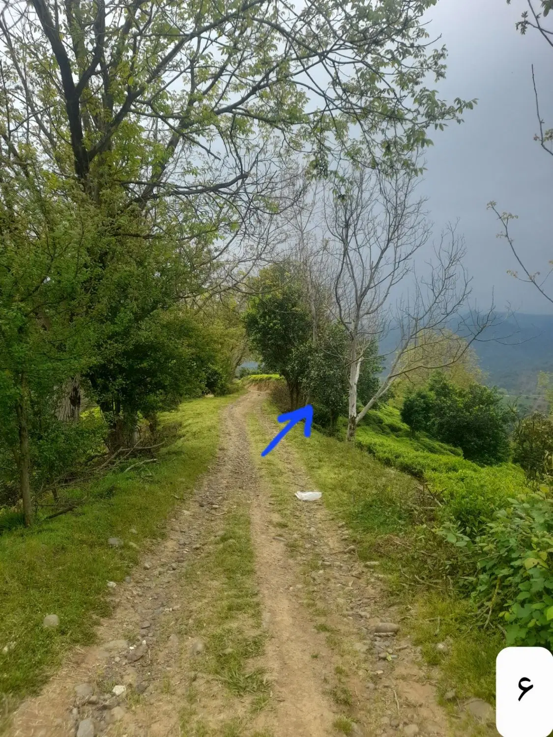 تصویر املاک 72801