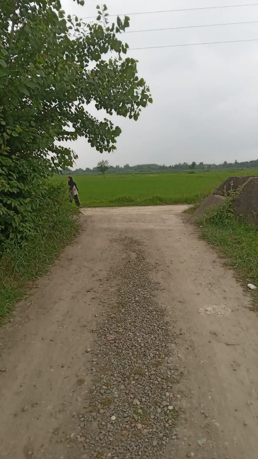 تصویر املاک 96841