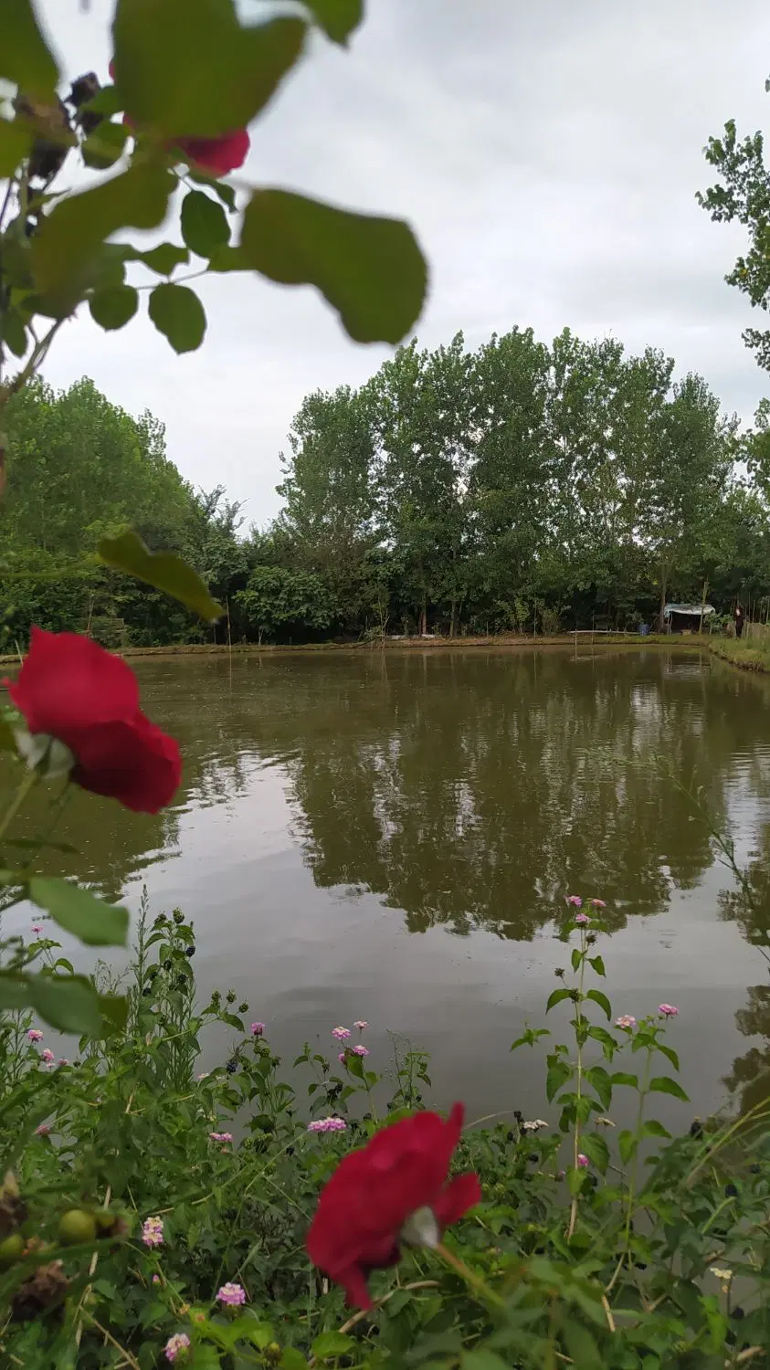 تصویر املاک 95710