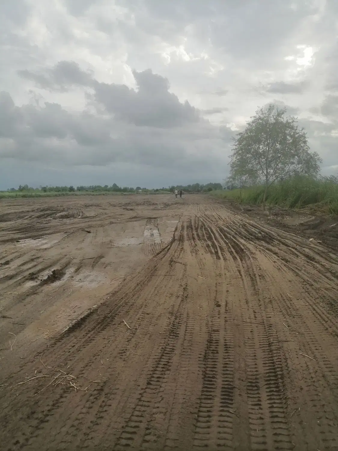 تصویر املاک 54384