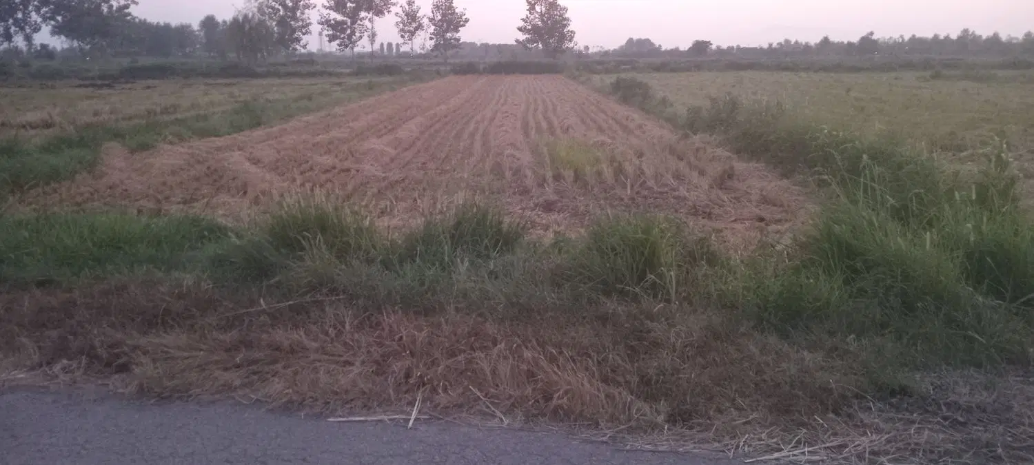تصویر املاک 122335