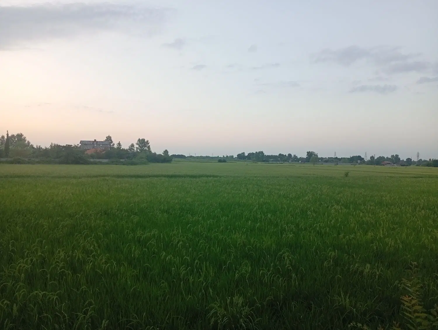 تصویر املاک 106148