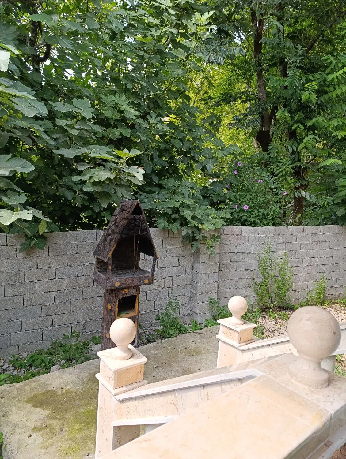 تصویر املاک 111547