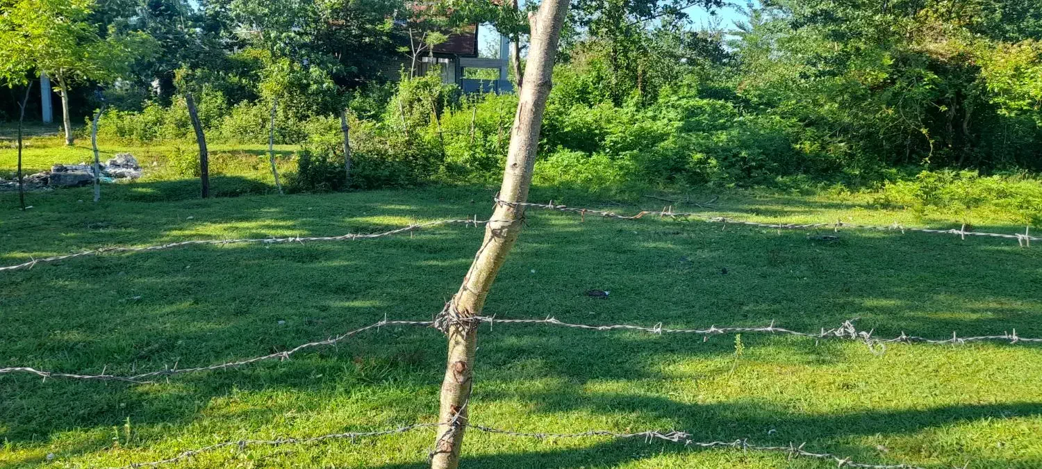 تصویر املاک 48486
