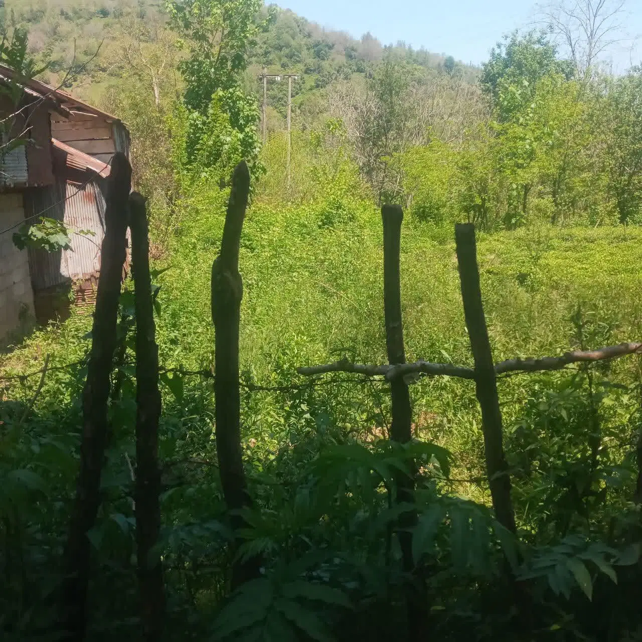 تصویر املاک 113560