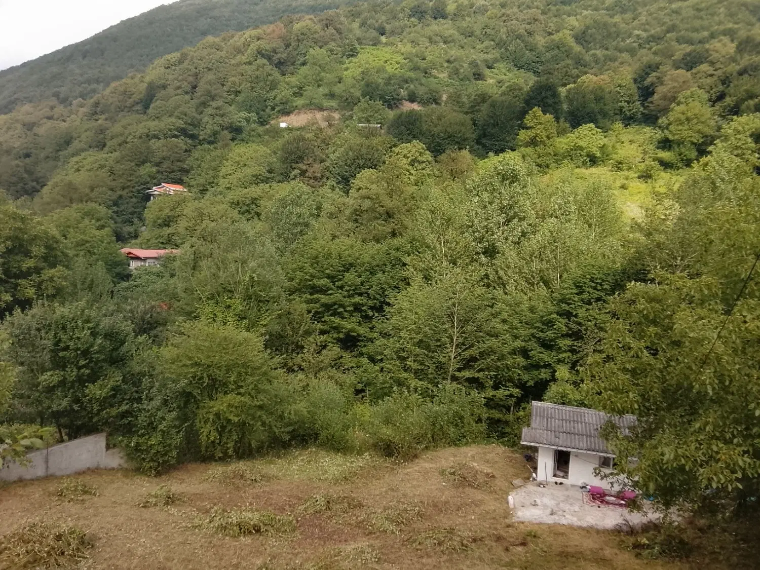 تصویر املاک 96185