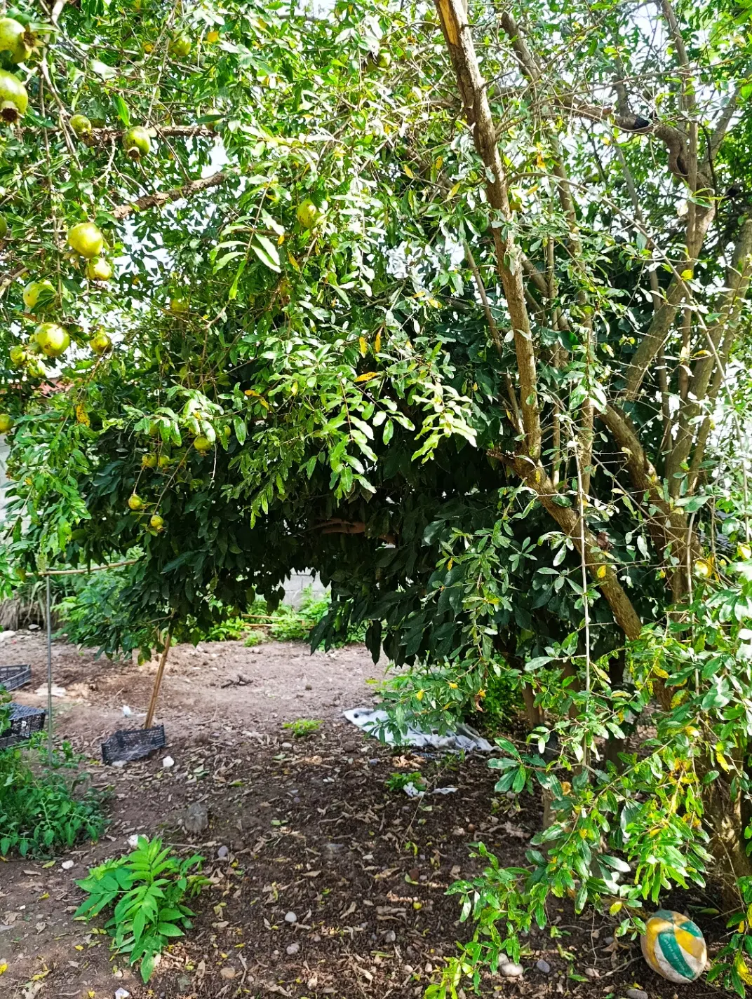 تصویر املاک 143722