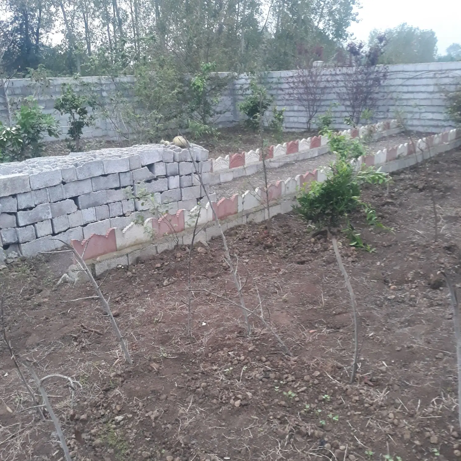 تصویر املاک 143766