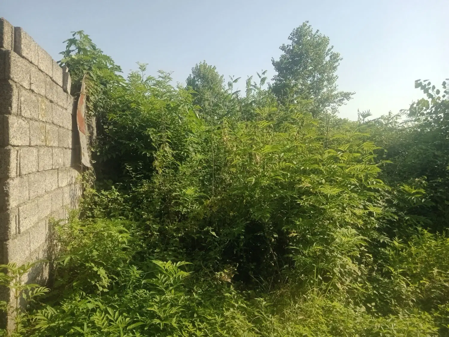 تصویر املاک 82834