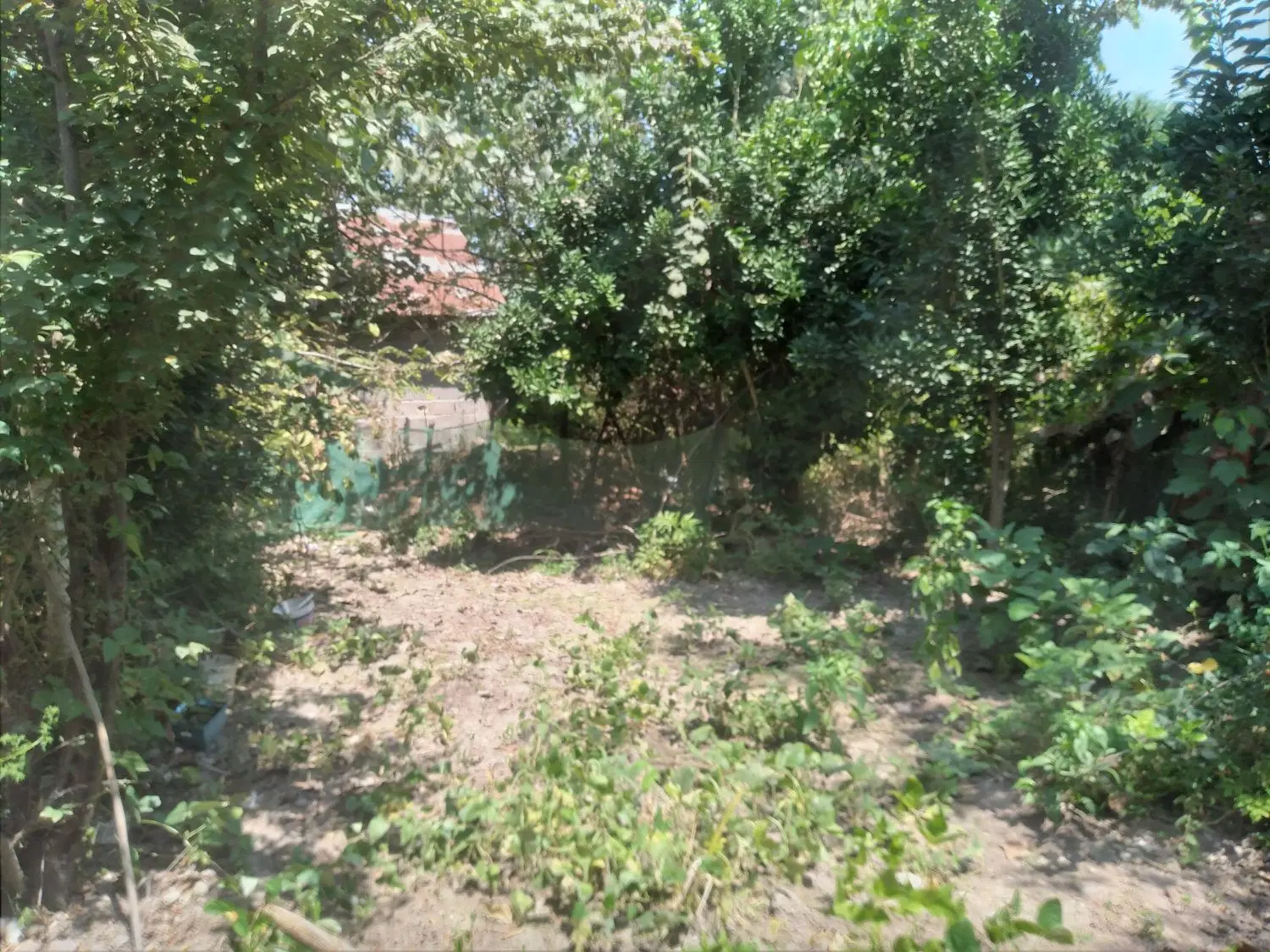 تصویر املاک 118123
