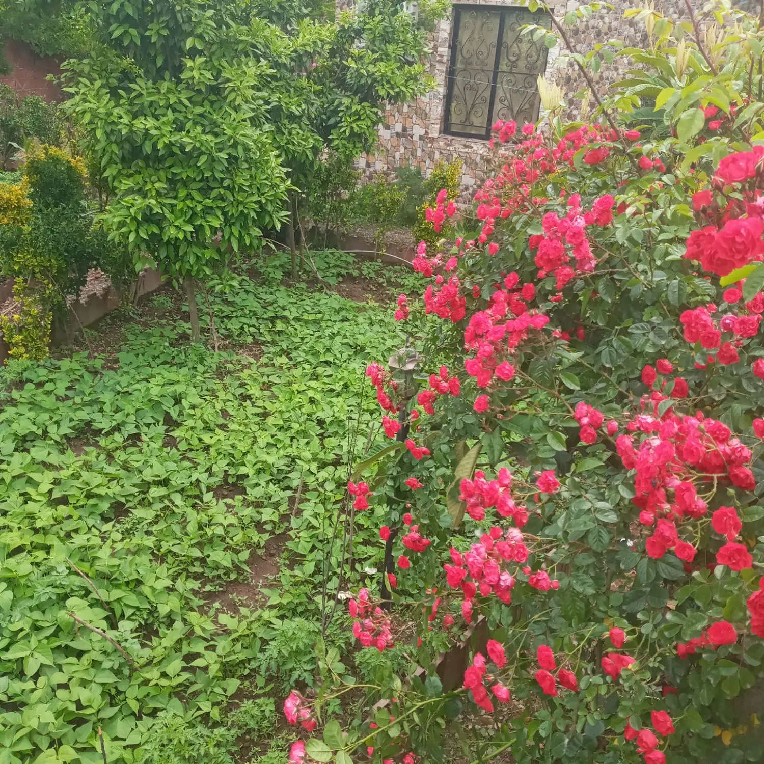 تصویر املاک 121183