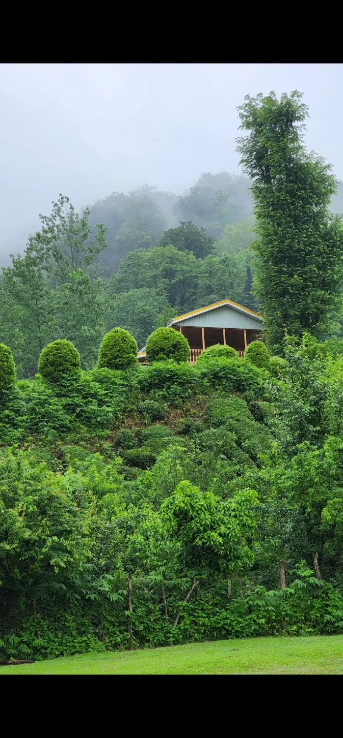 تصویر املاک 92267