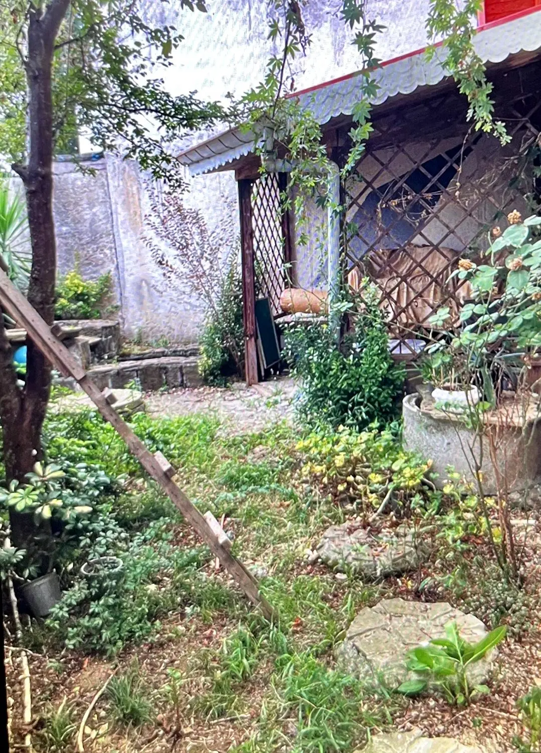 تصویر املاک 124109