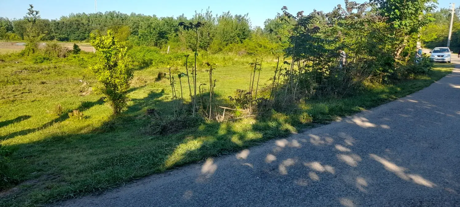 تصویر املاک 99458