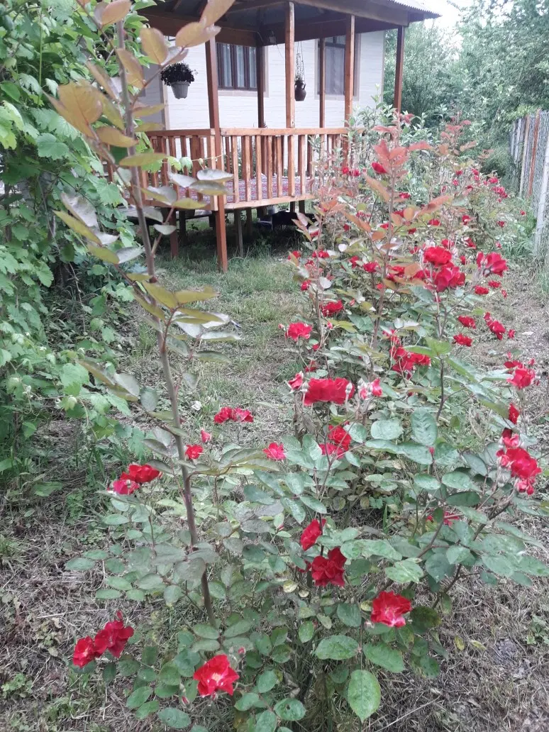 تصویر املاک 87753