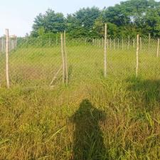 تصویر املاک 59035
