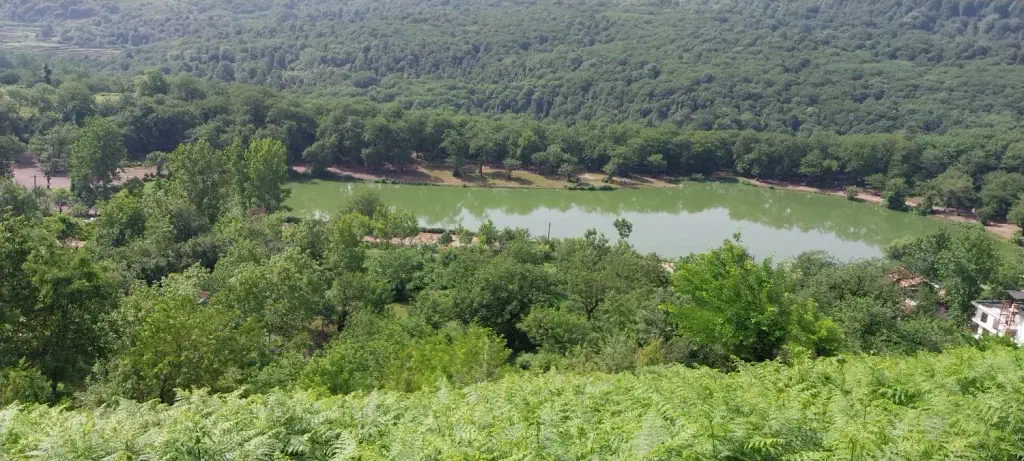 تصویر املاک 139418