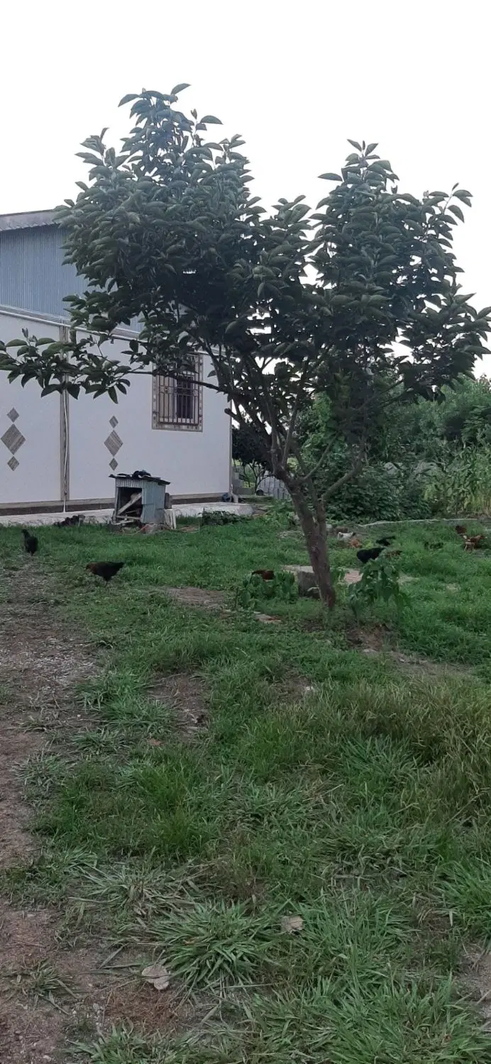 تصویر املاک 119342