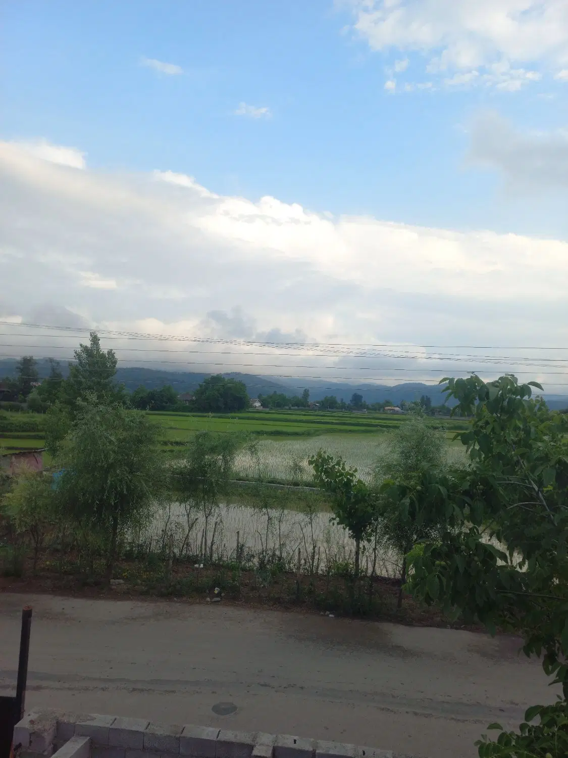 تصویر املاک 72297