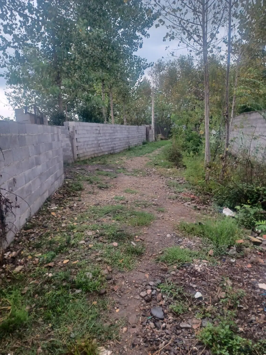 تصویر املاک 122217