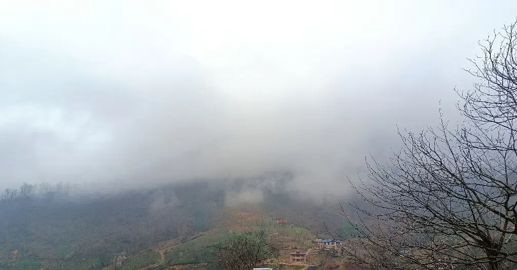 تصویر املاک 53959