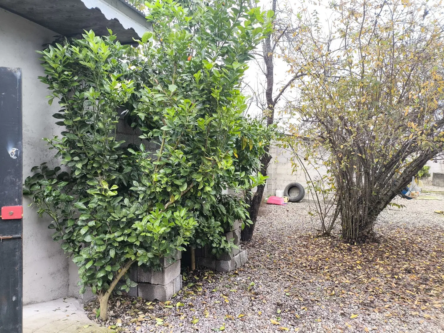 تصویر املاک 114855