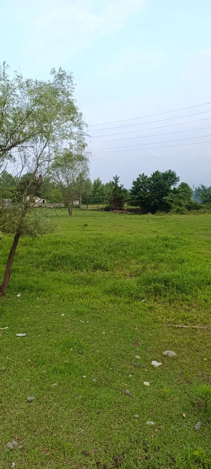 تصویر املاک 53250