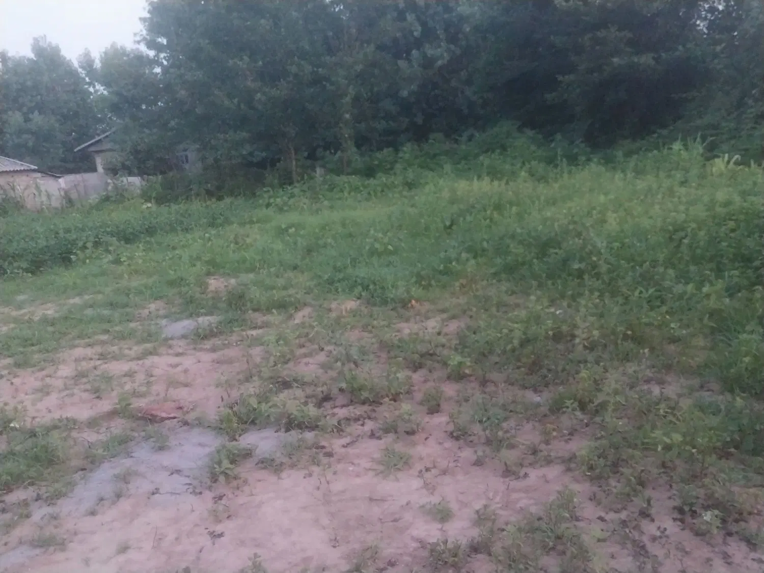 تصویر املاک 71457