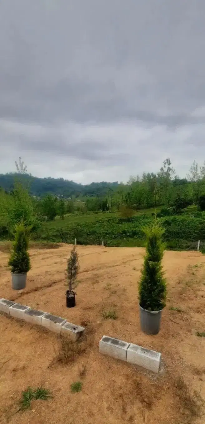 تصویر املاک 86941