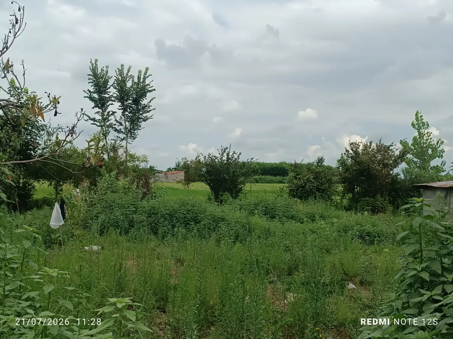 تصویر املاک 115950