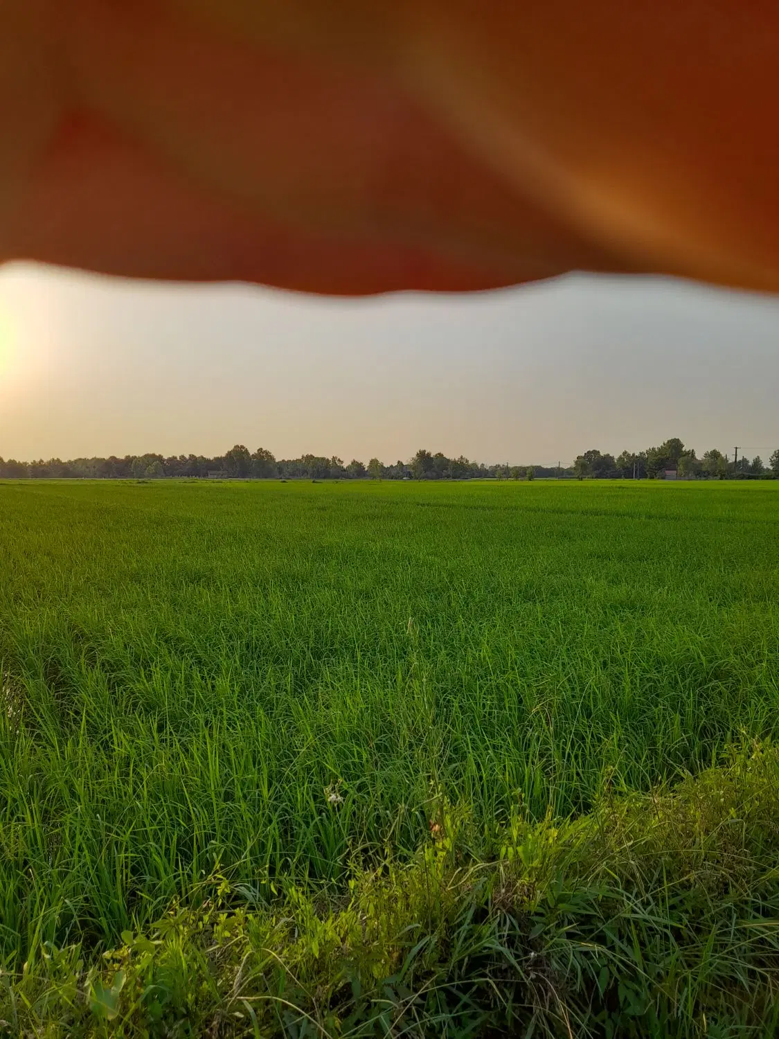 تصویر املاک 86950
