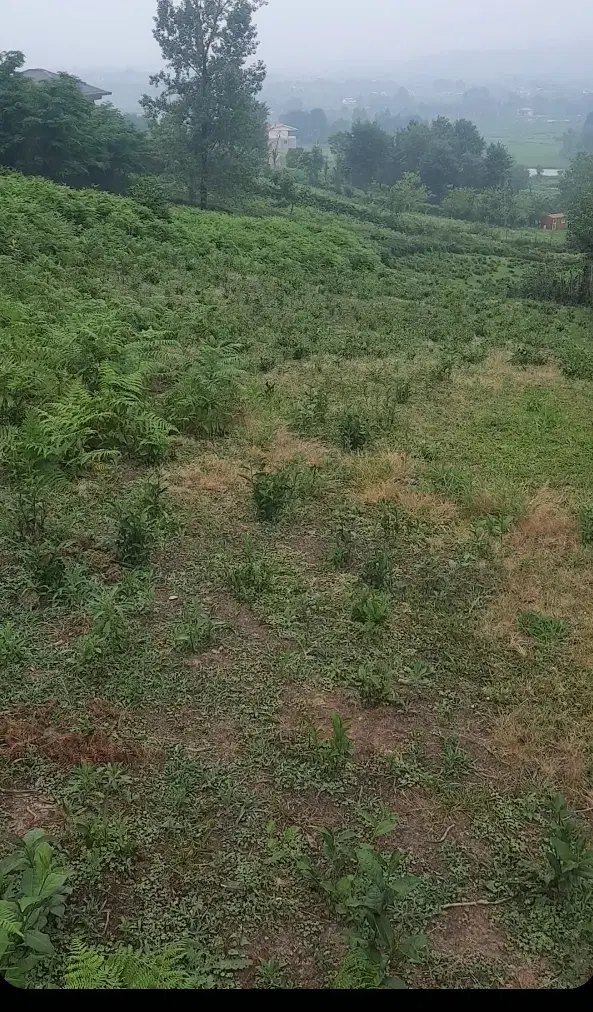 تصویر املاک 60945