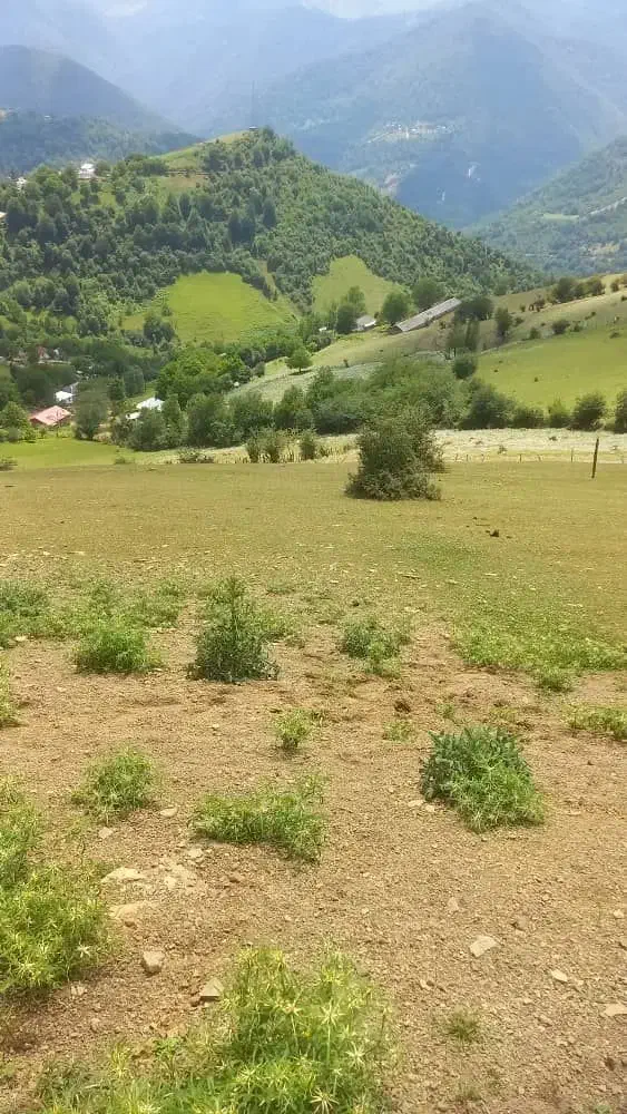 تصویر املاک 138293