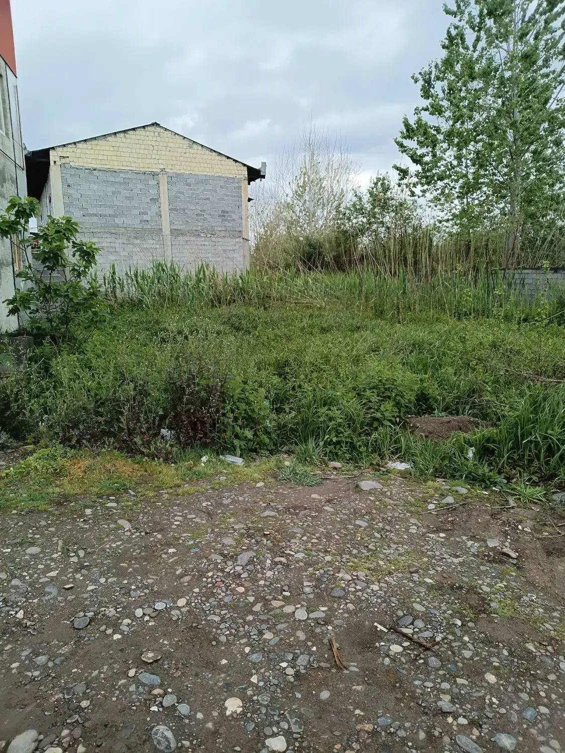 تصویر املاک 43347