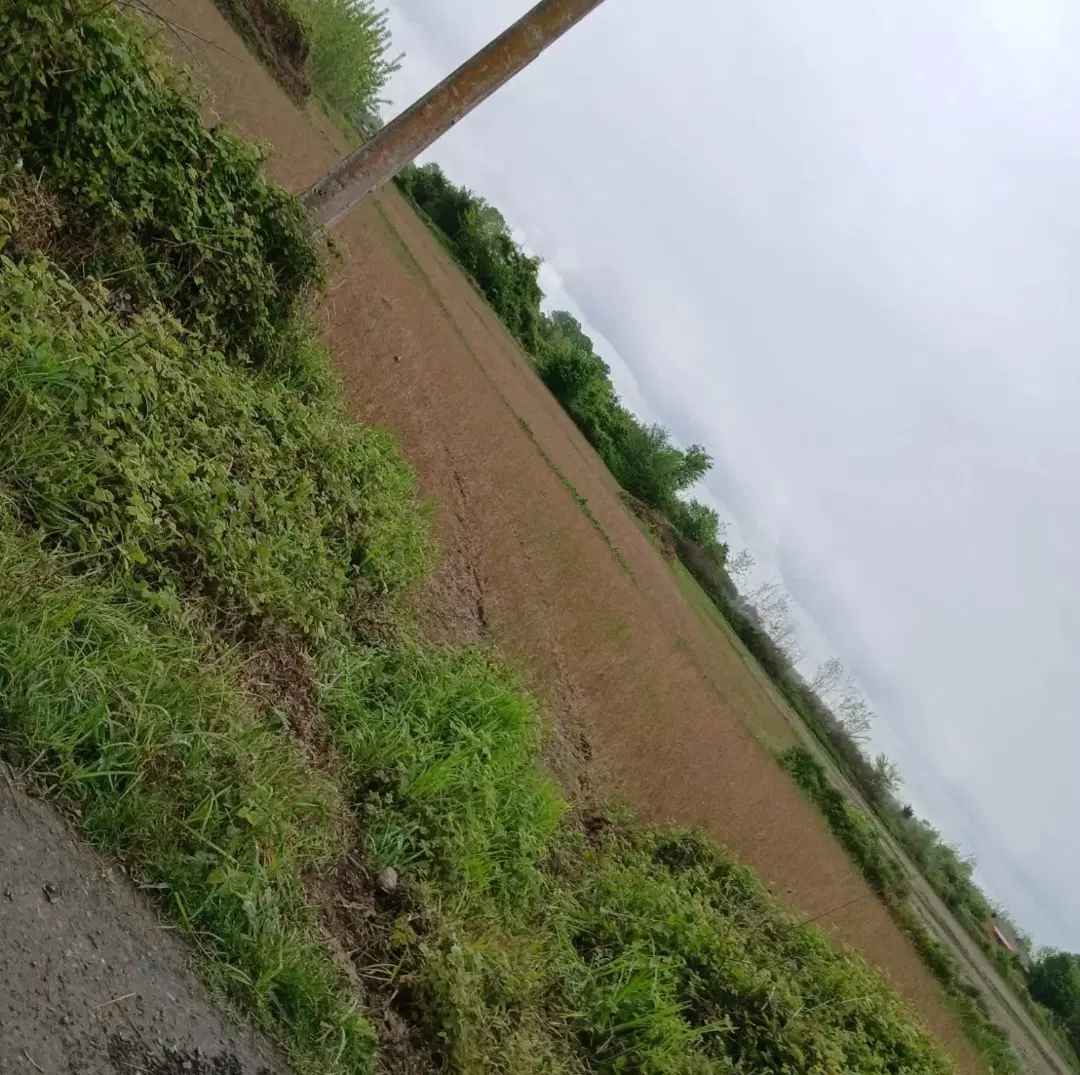 تصویر املاک 140024