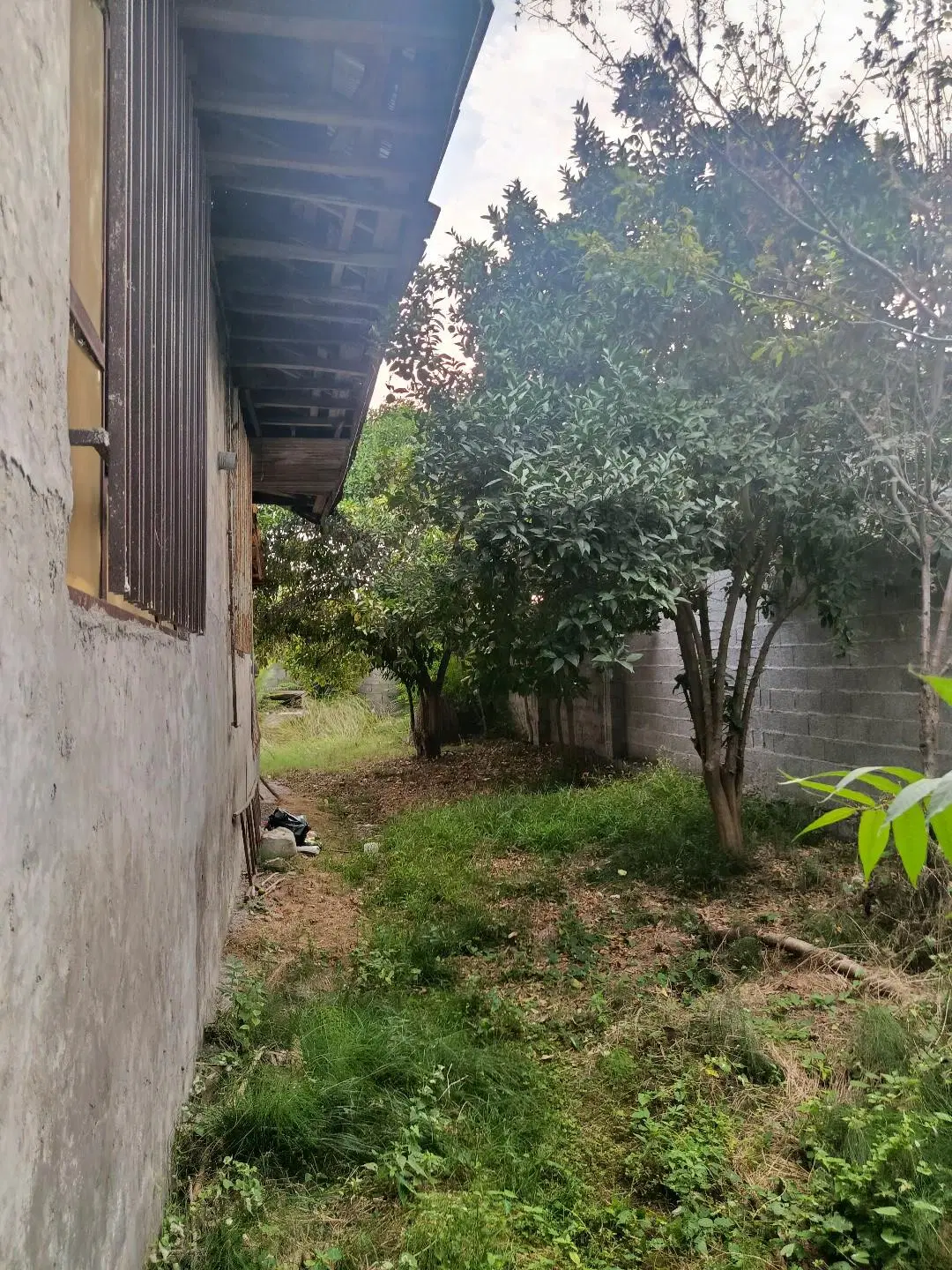 تصویر املاک 115218