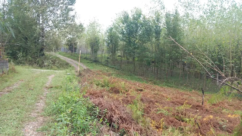 تصویر املاک 111874