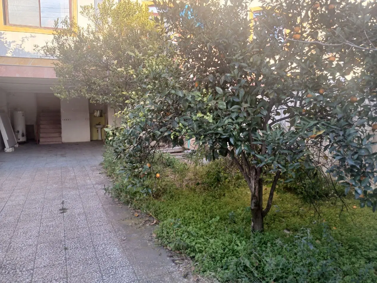 تصویر املاک 77411