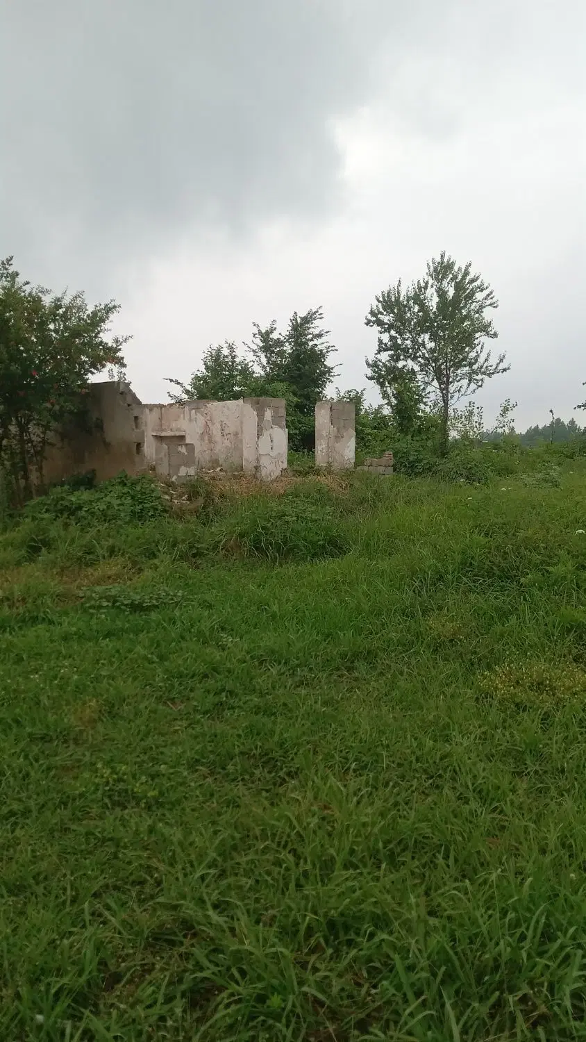تصویر املاک 96838
