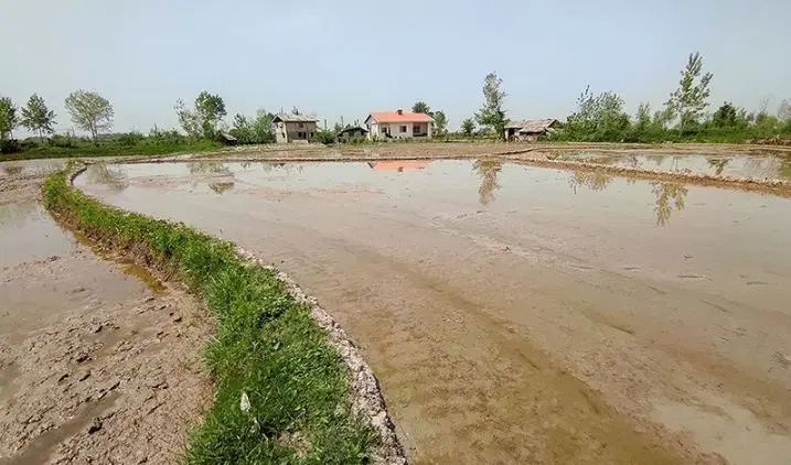 تصویر املاک 101942