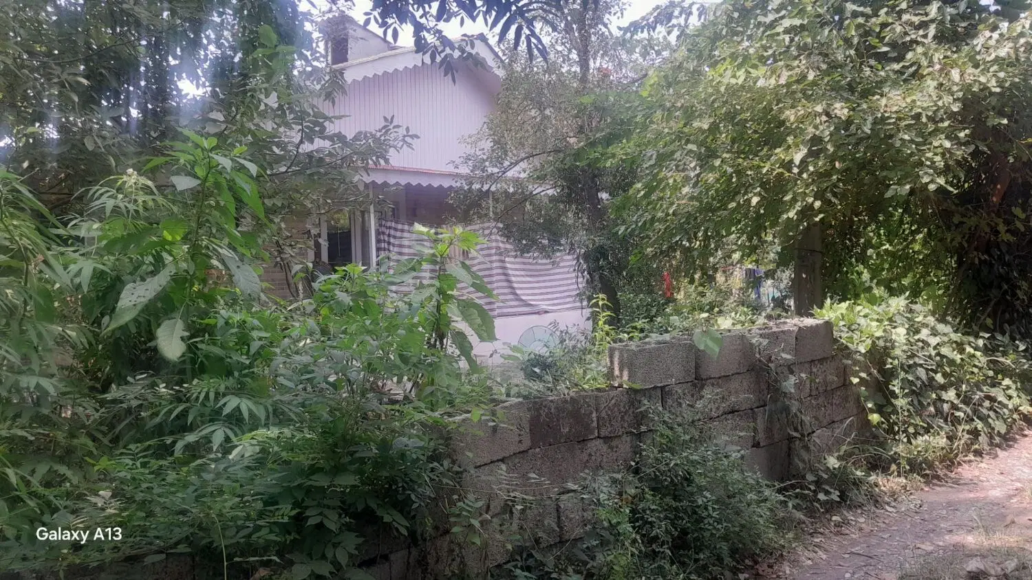تصویر املاک 111017