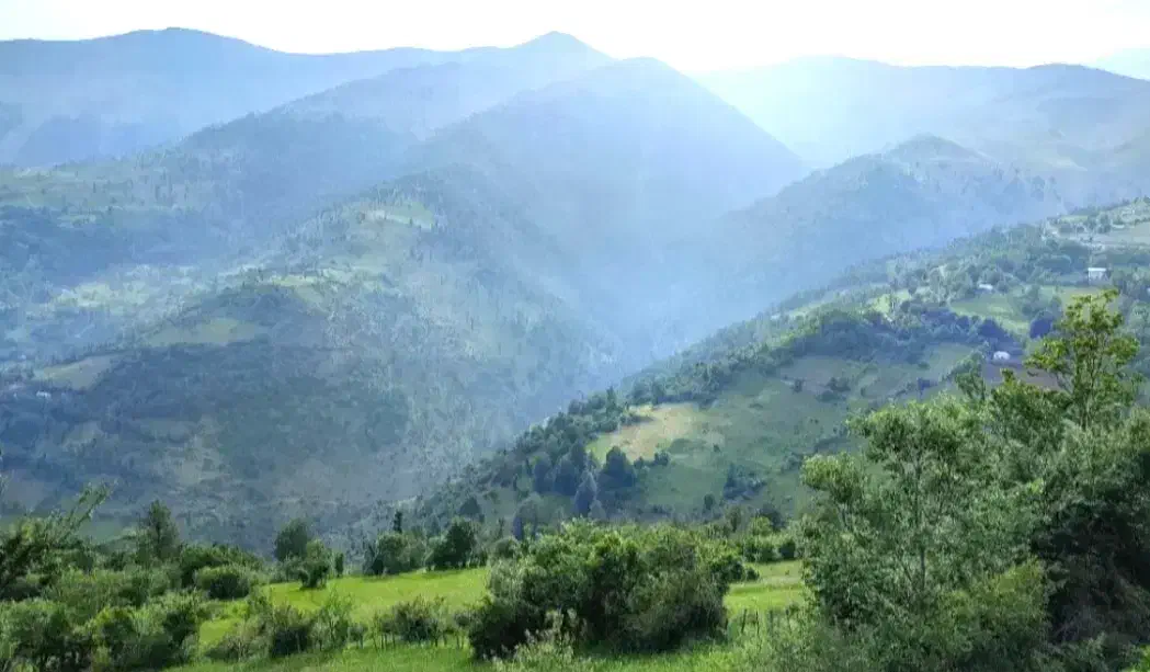 تصویر املاک 93106
