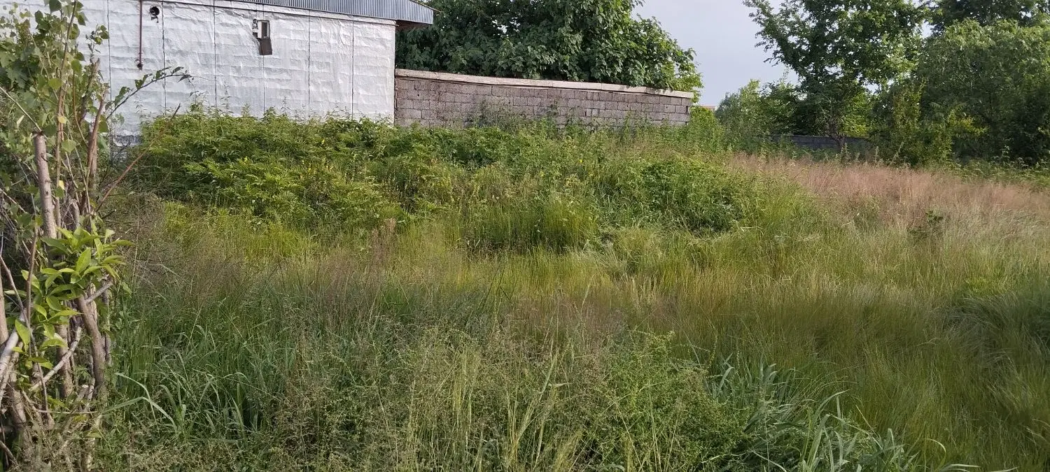 تصویر املاک 72409