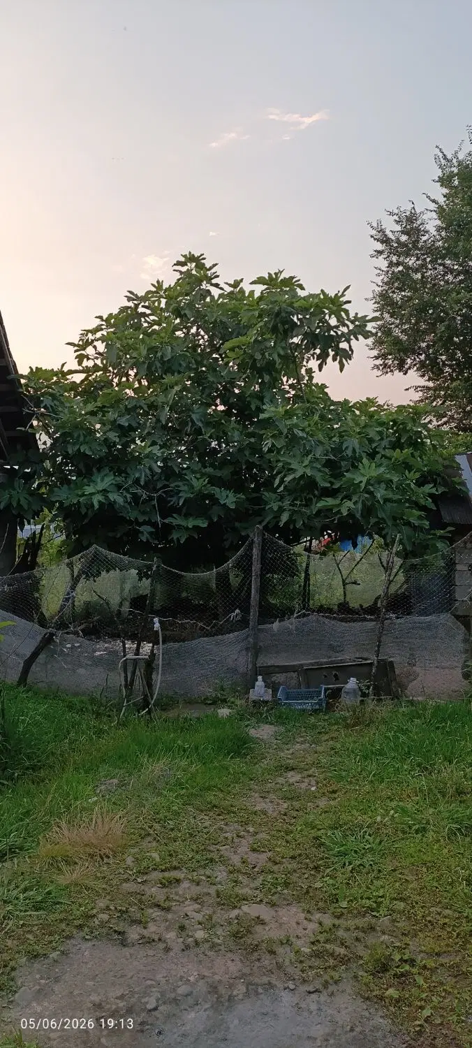 تصویر املاک 108273