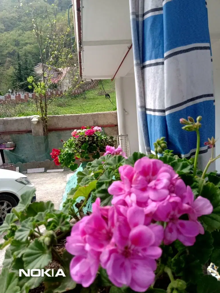 تصویر املاک 94914