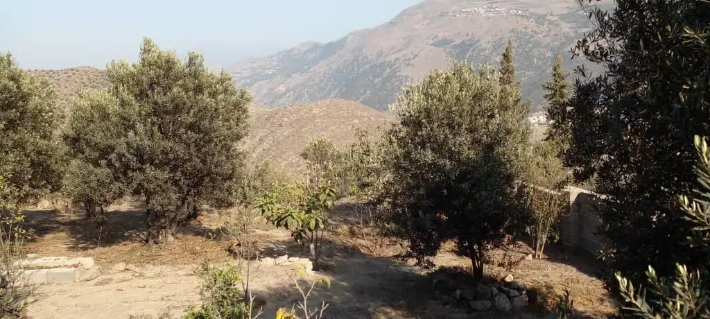 تصویر املاک 82180